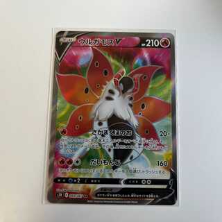 POKEKA VolcaronaV SR 1 copy