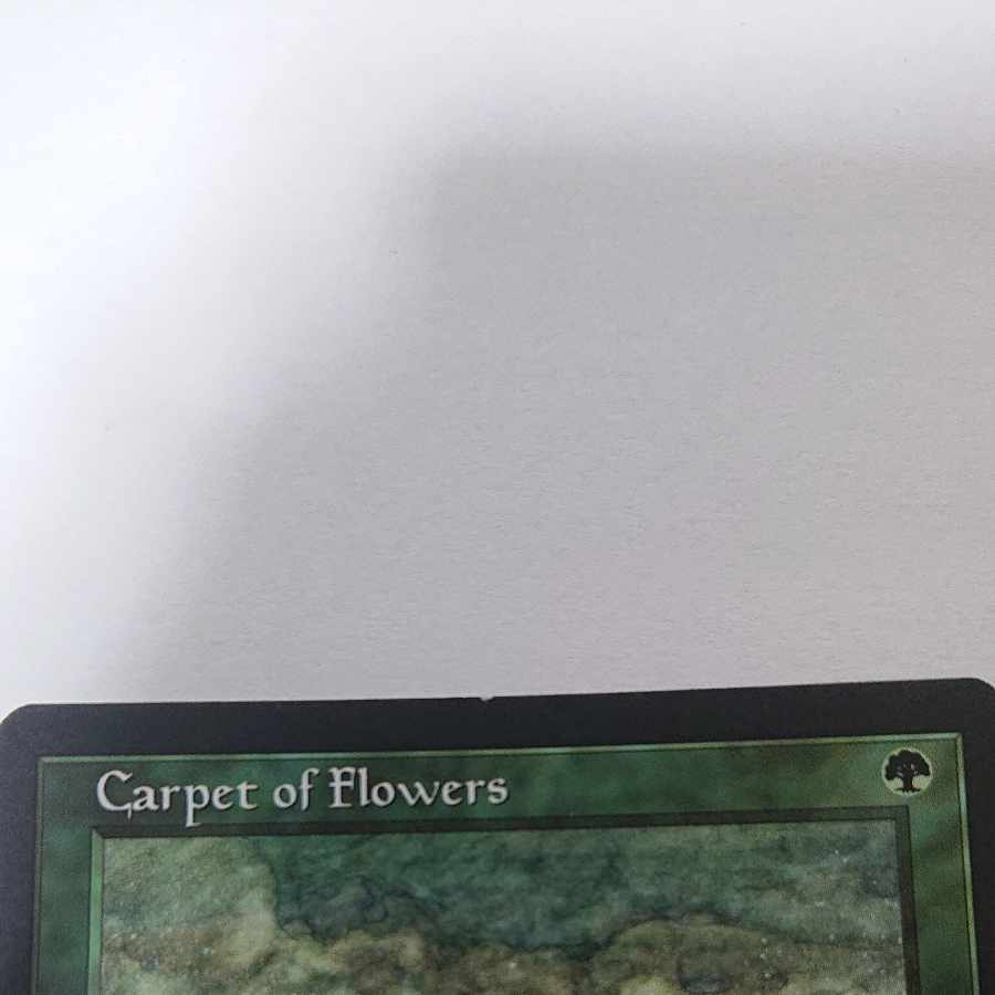 [EN] "Carpet of Flowers/Carpet of Flowers" [MB1] Green U 2 copies
