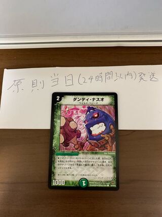 ダンディ・ナスオ C 82/84/Y8 1枚