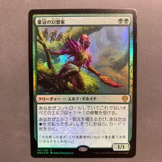 葉冠の幻想家 日本語 foil