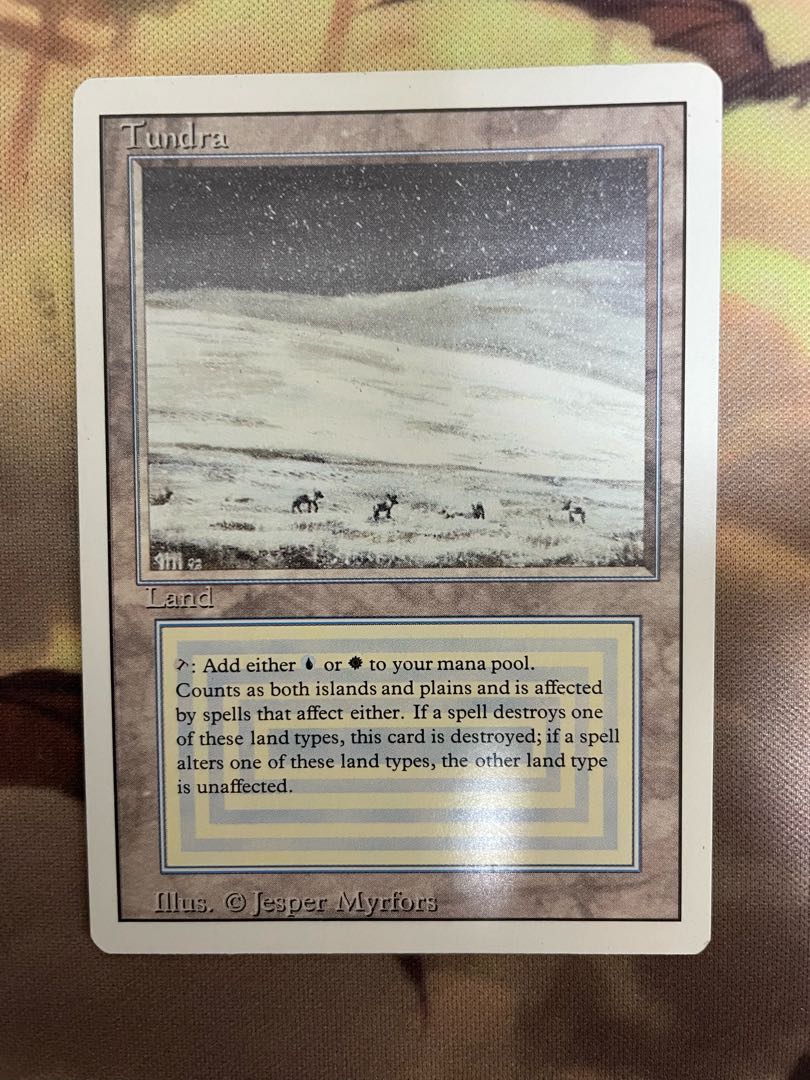 tundra 英語 デュアルランド 1枚