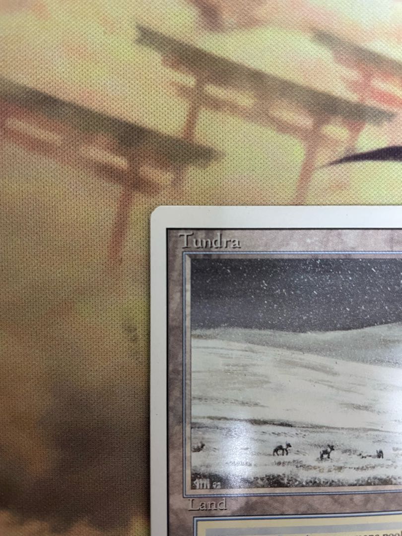 tundra 英語 デュアルランド 1枚