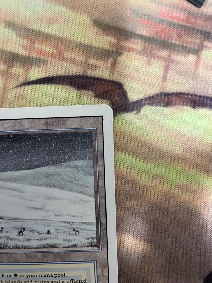 tundra 英語 デュアルランド 1枚