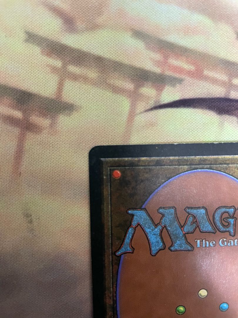 tundra 英語 デュアルランド 1枚