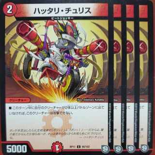 ハッタリ・チュSquirrel