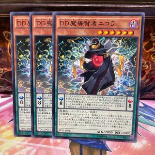 No.1249 P屋 D/D Savant Nikola [no