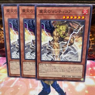 No.1270 P屋　震天のマンティコア 【ノー】