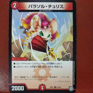 etf1836セット割引　パラソル・チュリス C 42/48