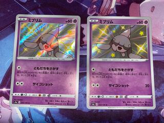 ミブリム S 253/190 2枚