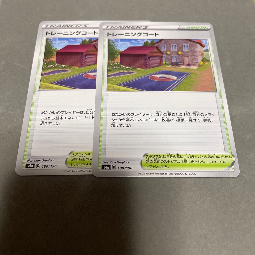 Training Court 180/190