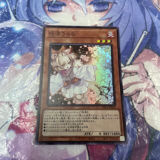 Ash Blossom & Joyous Spring