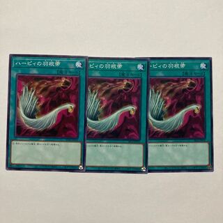 ハーピィの羽根帚 ノーマル JP032