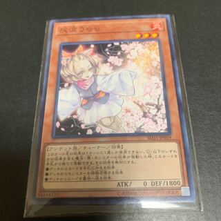 Ash Blossom & Joyous Spring Normal JP019