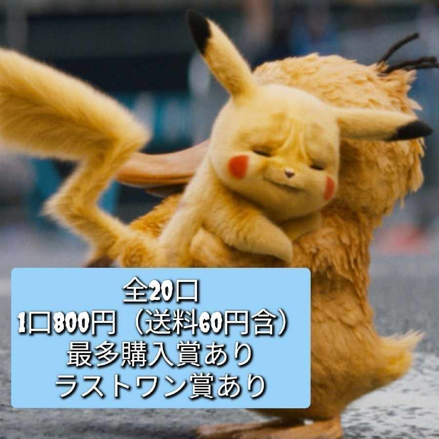 【かしま様専用】1~10.13 11口分