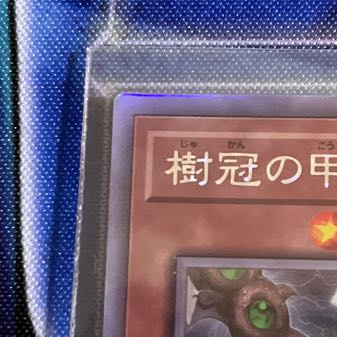 Beagram, the Emperor of the Tree-Crowned Armor Holographic Rare JP021