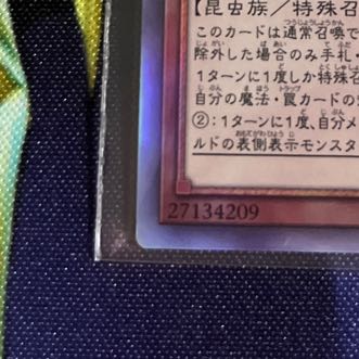 Beagram, the Emperor of the Tree-Crowned Armor Holographic Rare JP021