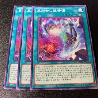 Kaiyousei arbitrariness Normal JP060