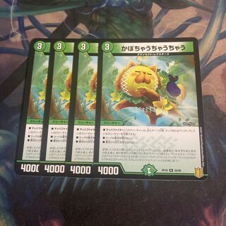 4 pieces of kabocha ucha ucha ucha