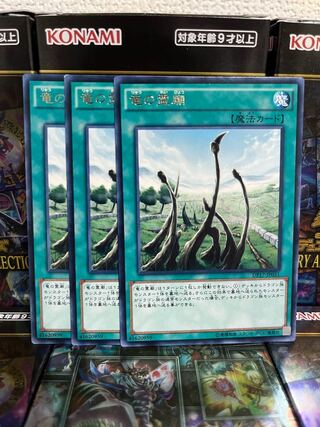 Yu-Gi-Oh Studio 1214 Dragon Shrine 3 rare cards