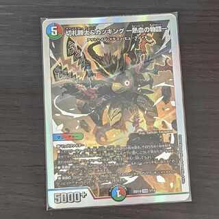 切札勝太&カツキング -熱血の物語- DSR 1/14