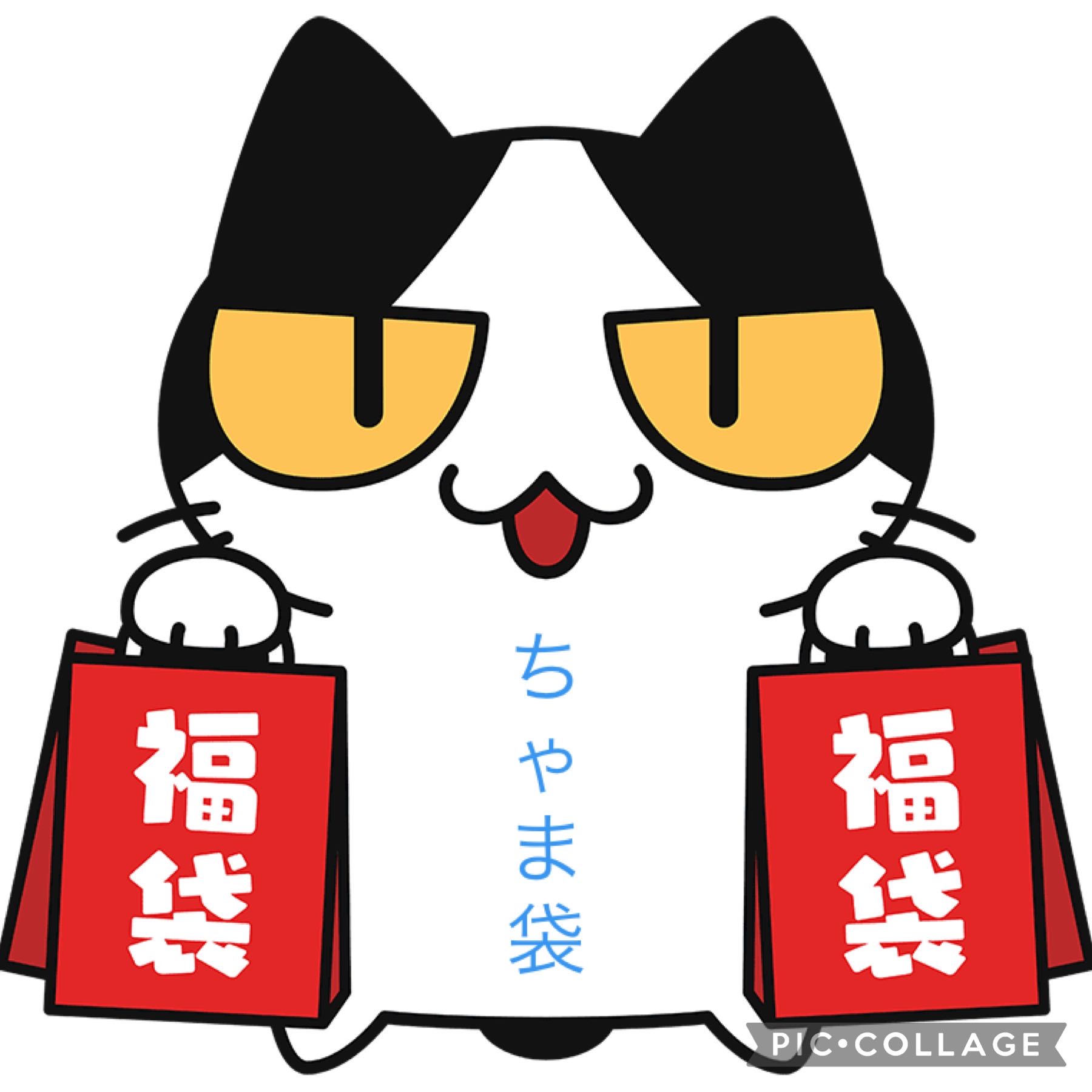 ちゃま袋 10000円