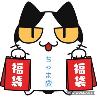 ちゃま袋 10000円