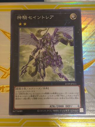 Sky Cavalry Centaurea