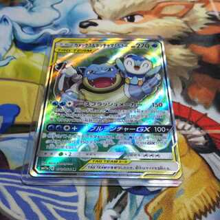 カメックス&ポッチャマ スペシャルアート