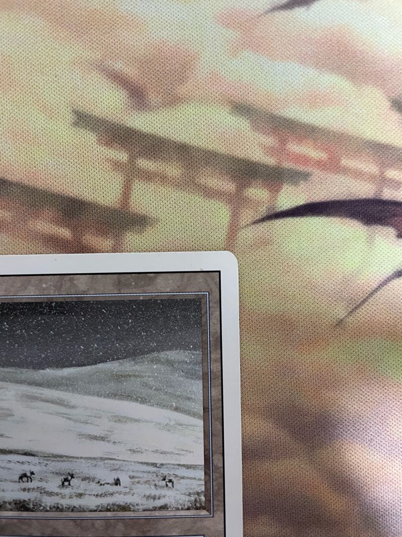 tundra English Dual Land