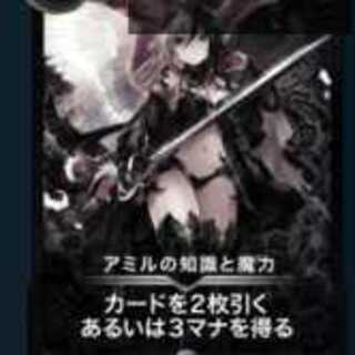 アミルの知識と魔力