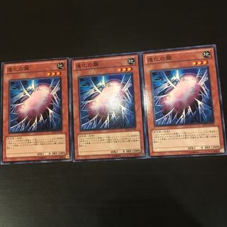 Cocoon of Evolution 3 copies