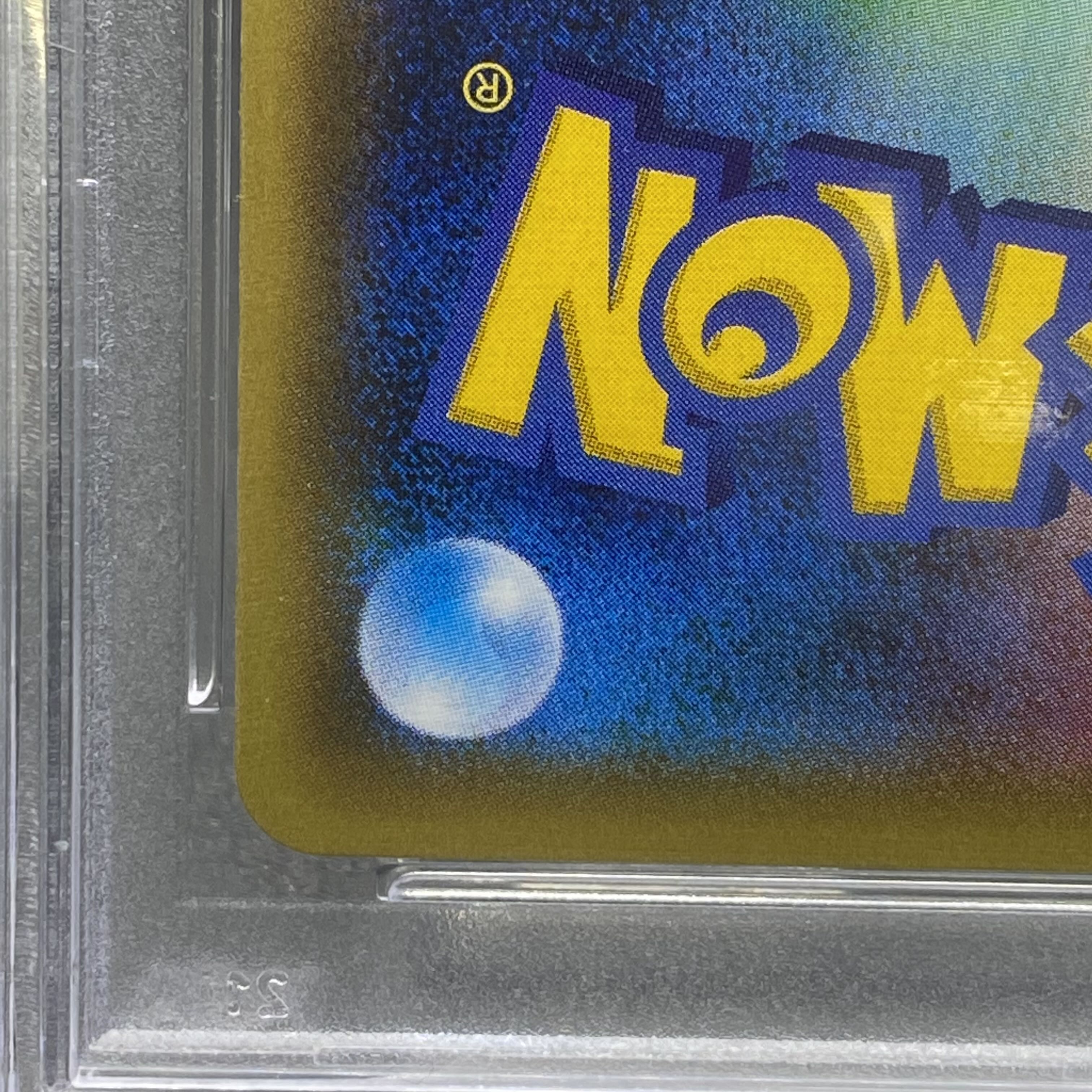 PSA10 ポンチョを着たピカチュウ （黒いレックウザ） P 231 XY-P