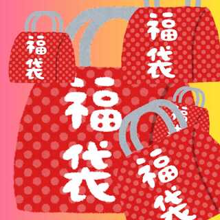 ちゃま袋　様　専用 1枚