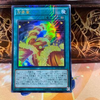 No.1266 P屋 Cubic Karma [Ur