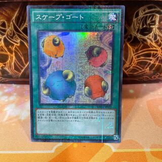 No.1212 P屋　スケープ・ゴート 【スー】