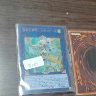 けーす毛様専用