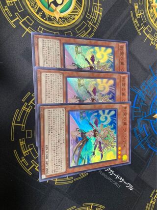 Reeshaddoll Wendi Super Rare JP002 Set of 3 for play