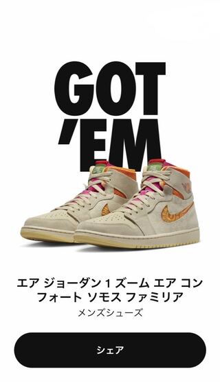 29cm ナイキ エアジョーダン1 ズーム コンフォート ソモス ファミリア "ディア デ ムエルトス" ラタン/カムクワト/レモンウォッシュ/スターフィッシュ FB2931-288 29cm