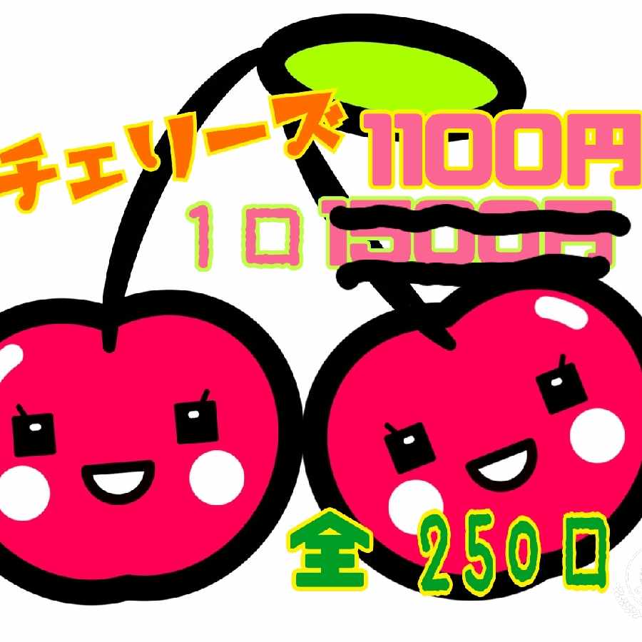 解体します【注文用】1口1100円オリパ