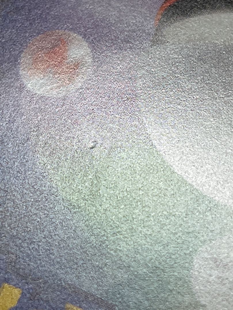 Special price, the earlier the better] _'s Pikachu Birth Life Day Pikachu 25th Reshiram 25th Venusaur 25th