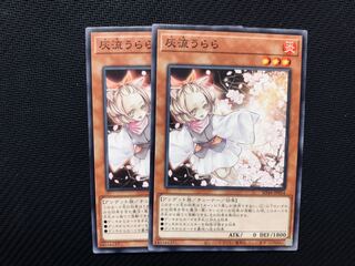 Yu-Gi-Oh! Ash Blossom & Joyous Spring 2 copies