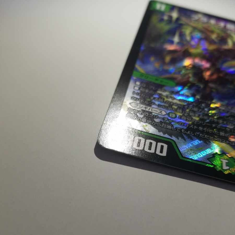 Ryuki Brachio SR S5/S11