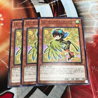 LL-Turquoise Warbler, normal, 3 pieces