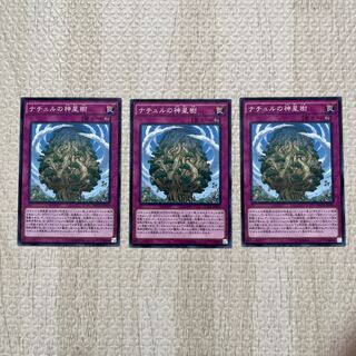 Naturia Sacred Tree Normal JP076 Set of 3