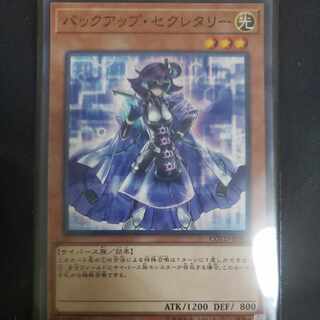 Backup Secretary Normal JP002