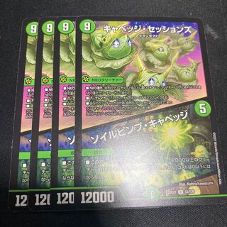 キャベッジ・セッションズ｜ソイルピンプ・キャベッジ R 52/130