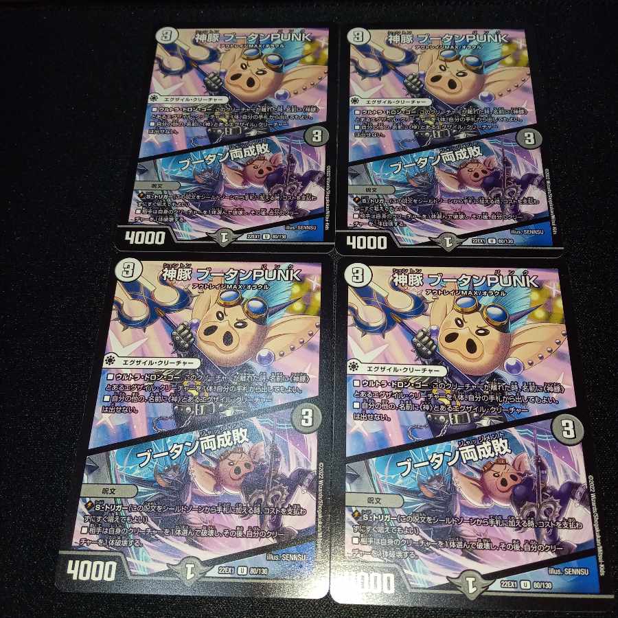 Kami Pig Bhutan PUNK|Bhutan Ryosei U 80/130