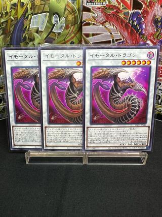 イモータル・ドラゴン　字レア　3枚セット　美品