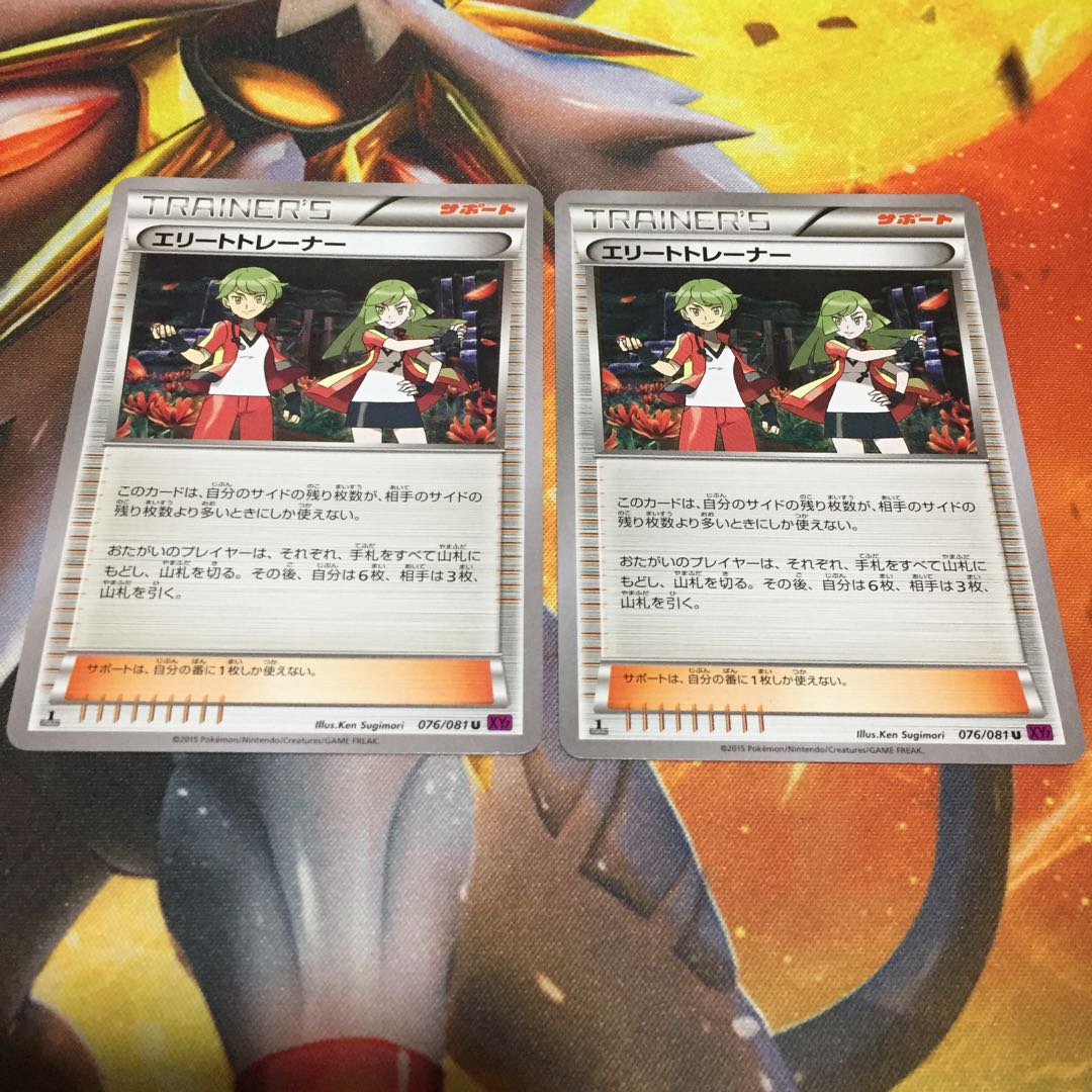 つてい様 専用 エリートトレーナー 2枚