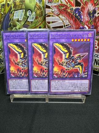 Dynorphia stealthbegia rare JP039